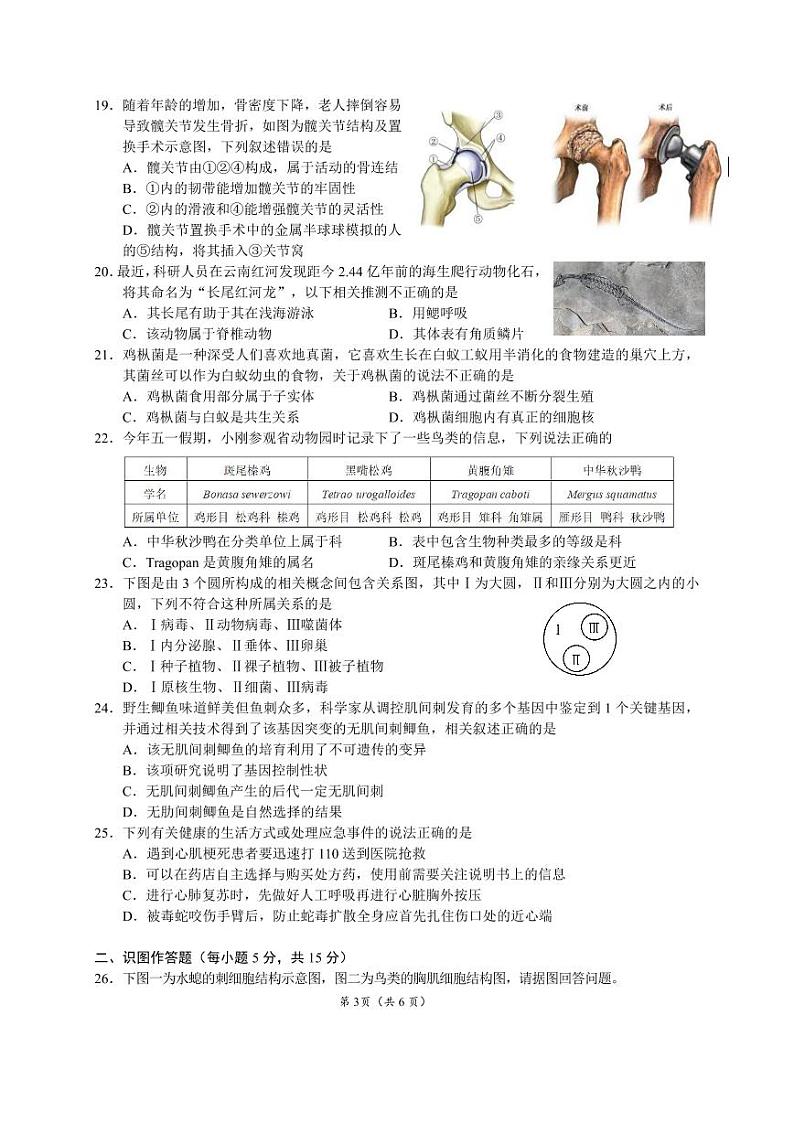 02，2024年湖南省长沙市雅礼教育集团中考一模生物试卷03
