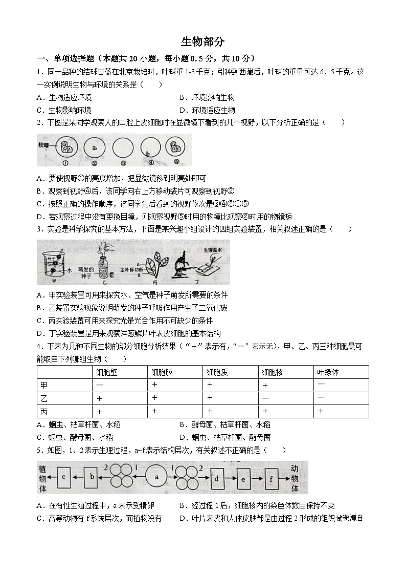 03，2024年江苏省盐城市阜宁县中考二模生物试题(无答案)01