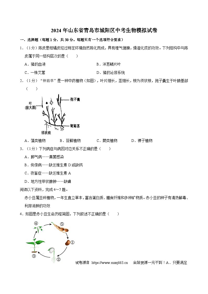 06，2024年山东省青岛市城阳区中考生物模拟试卷第1页