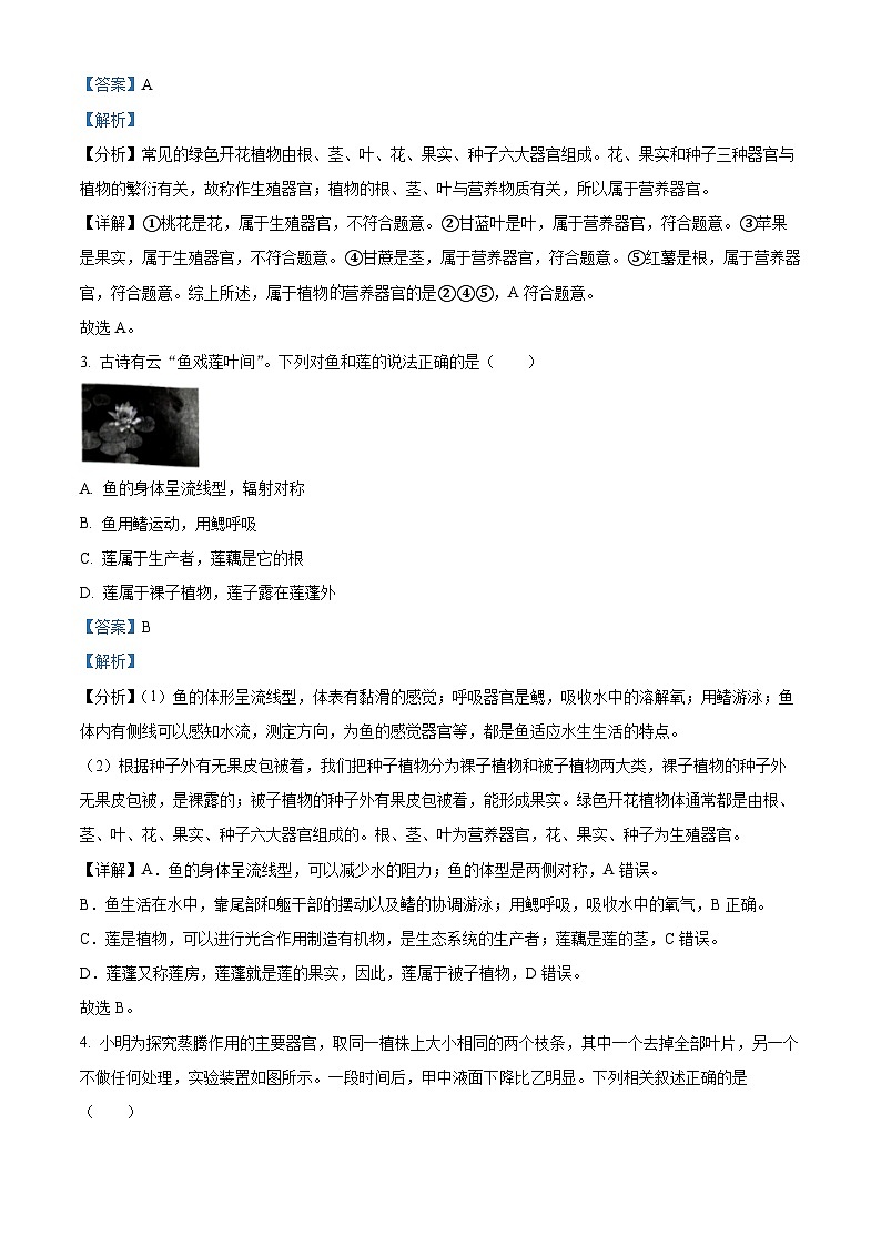 2024年河北省张家口市张家口市第二次中考模拟生物试题（解析版）第2页