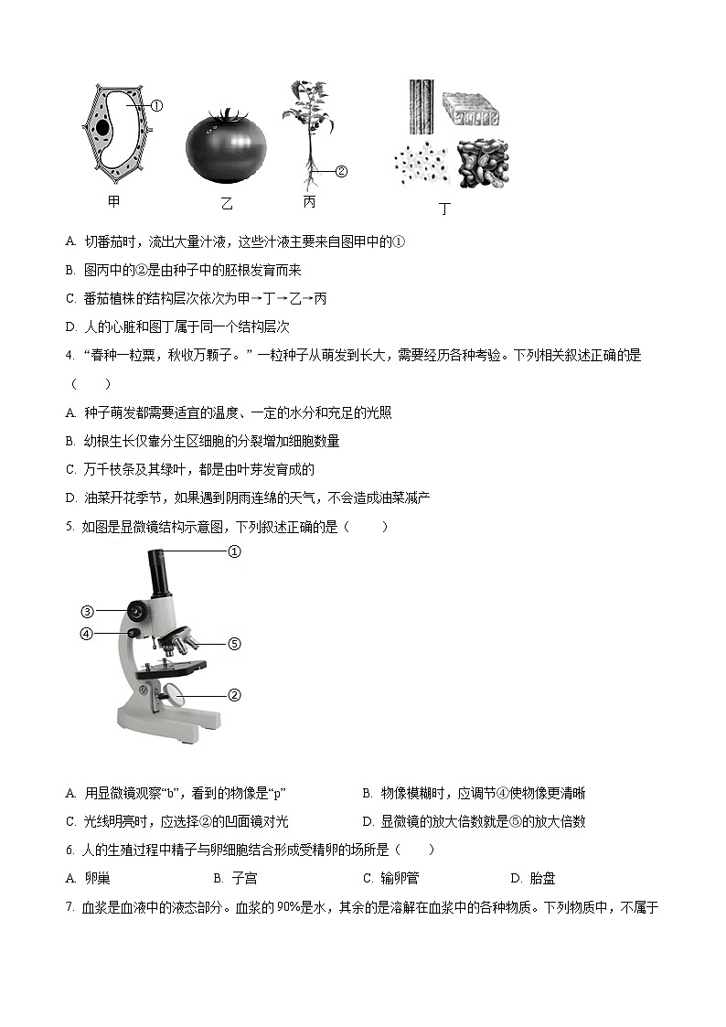 2024年河南省信阳市光山县中考二模生物试题（原卷版+解析版）02