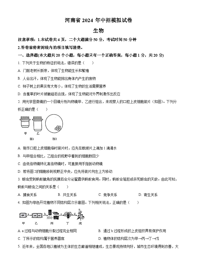 2024年河南省周口市沈丘县模拟联考中考二模生物试题（原卷版+解析版）01