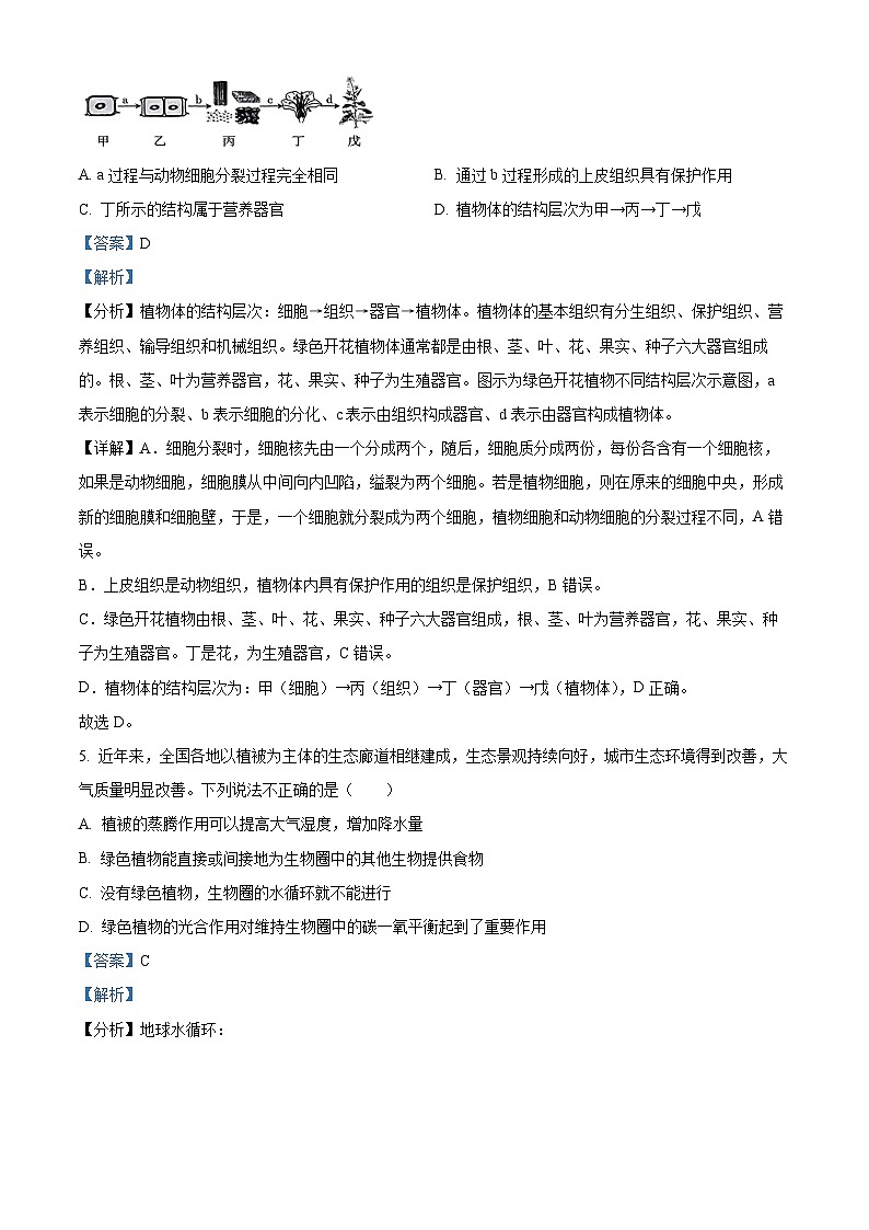 2024年河南省周口市沈丘县模拟联考中考二模生物试题（原卷版+解析版）03