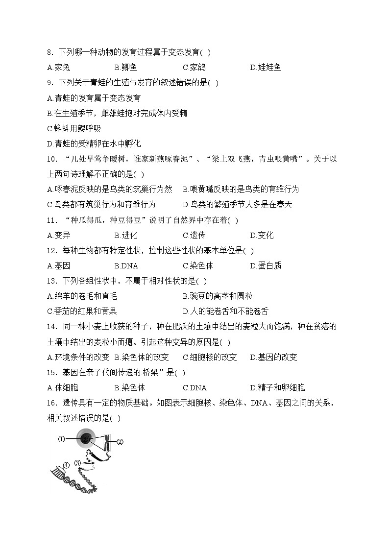 新疆吐鲁番市2023-2024学年八年级下学期期中考试生物试卷(含答案)第2页