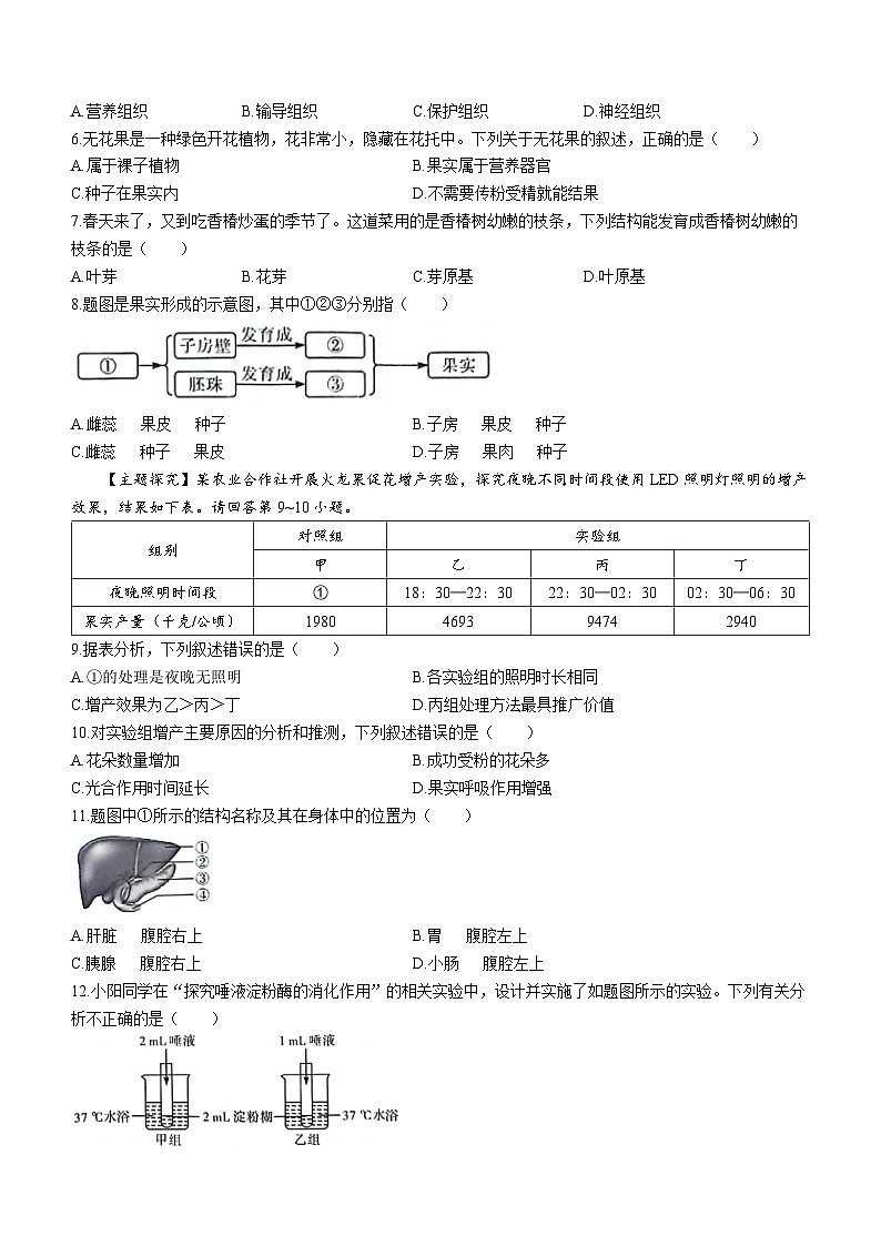 2024年广东省惠州市惠东县中考二模生物试题(无答案)02