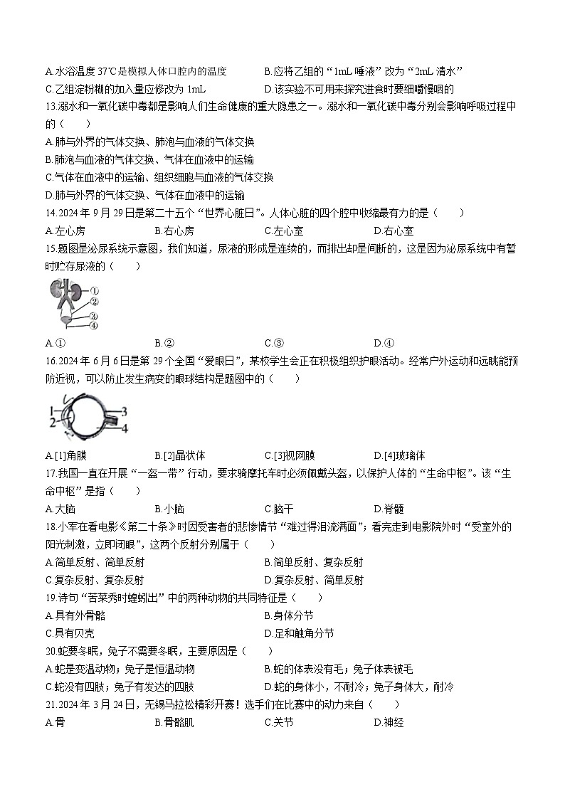 2024年广东省惠州市惠东县中考二模生物试题(无答案)03
