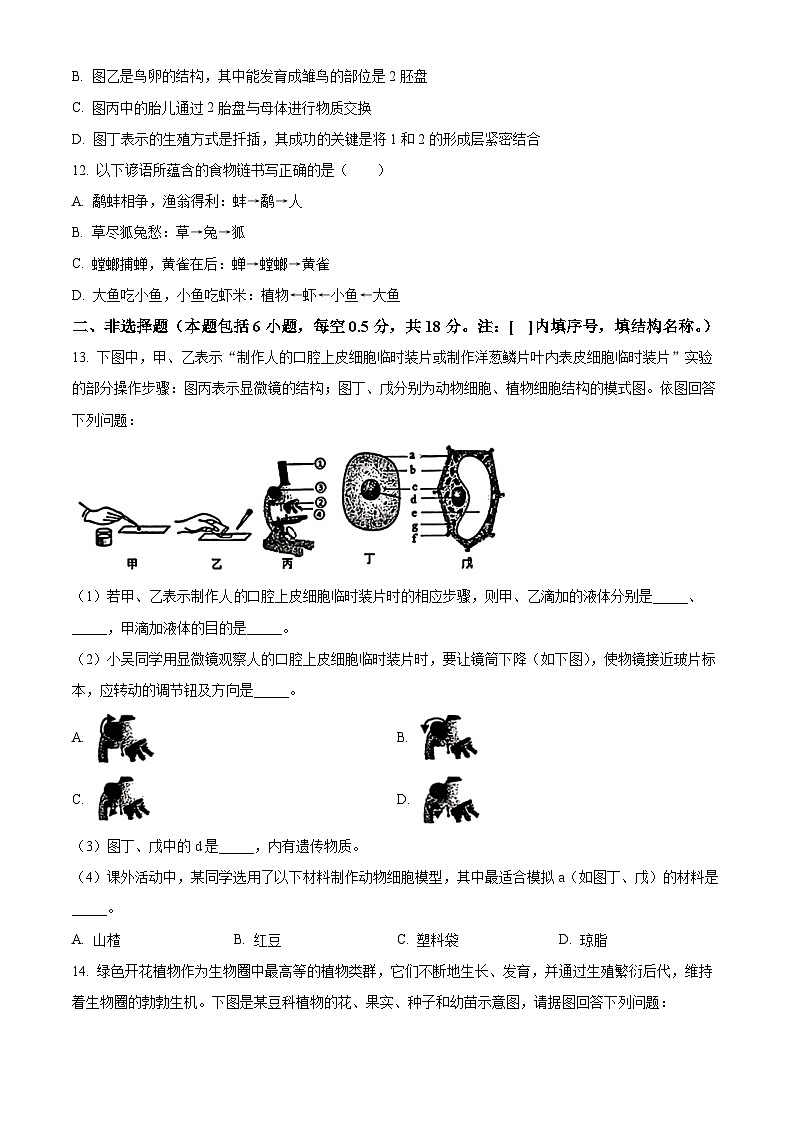 2024年辽宁省葫芦岛市绥中县中考二模生物试题（原卷版+解析版）03