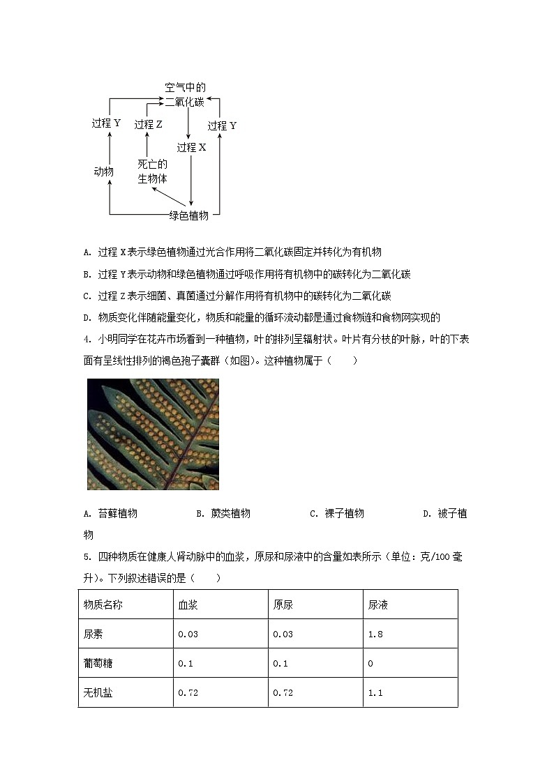 2023年山东泰安中考生物真题及答案02