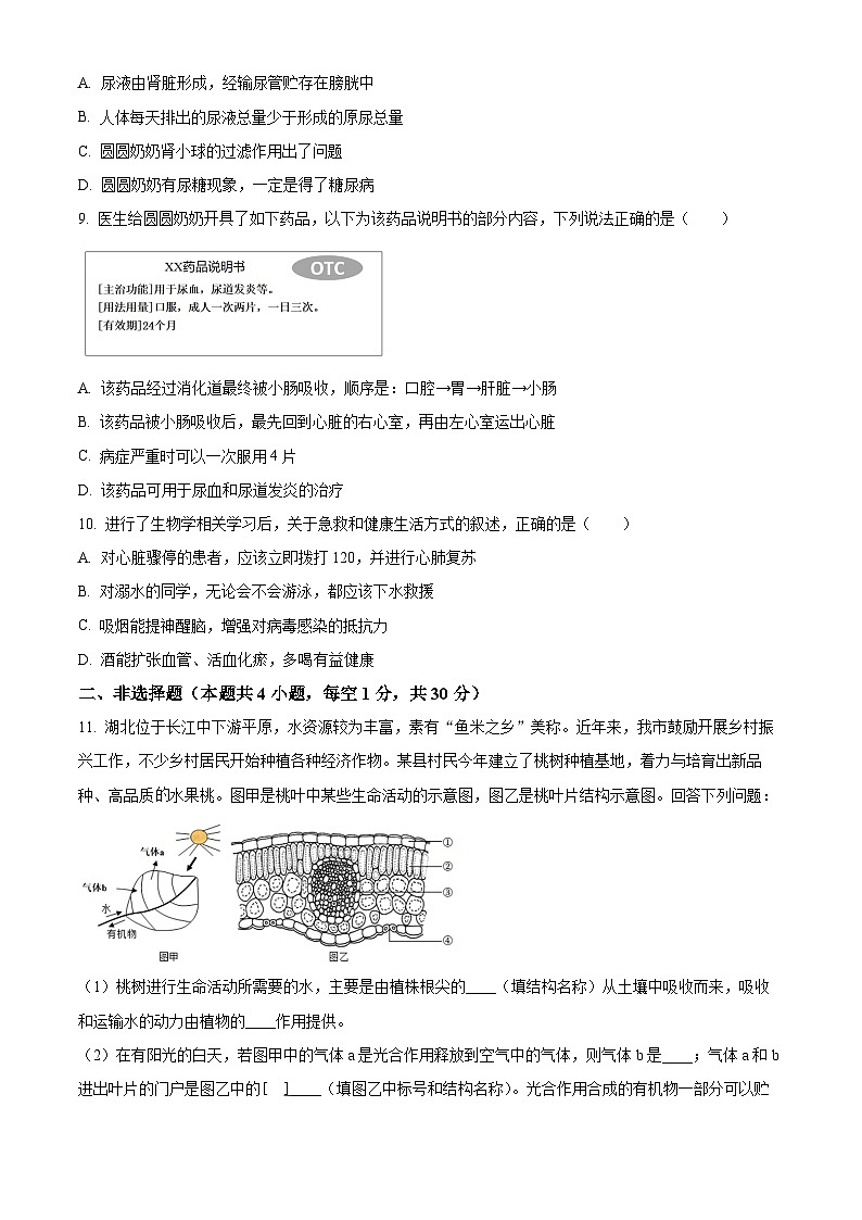 2024年湖北省孝感市孝南区八年级中考二模生物试题 （原卷版）第3页