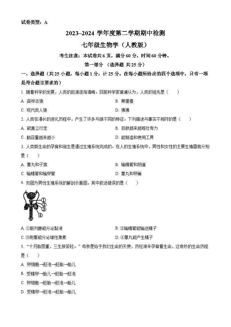 陕西省咸阳市永寿县校联考2023-2024学年七年级下学期期中生物试题（原卷版）第1页