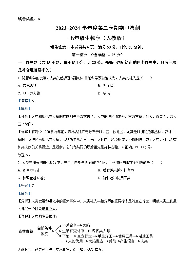 陕西省咸阳市永寿县校联考2023-2024学年七年级下学期期中生物试题（解析版）第1页