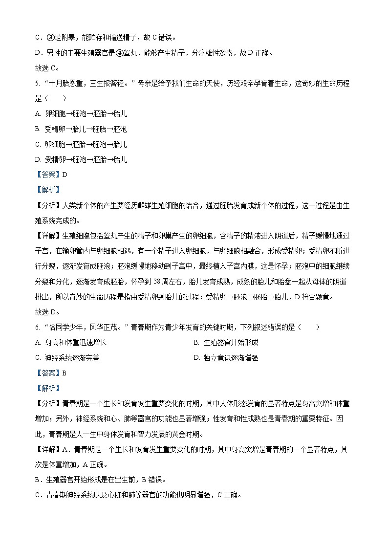 陕西省咸阳市永寿县校联考2023-2024学年七年级下学期期中生物试题（解析版）第3页