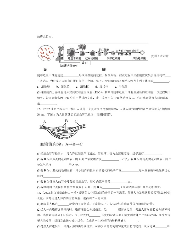 2022～2024北京初二中考一模生物试题分类汇编：激素调节（京改版）02