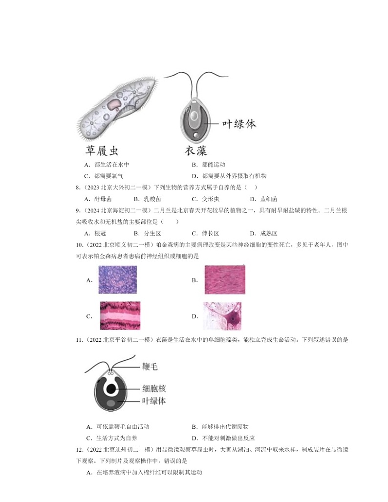 2022～2024北京初二中考一模生物试题分类汇编：生物体02