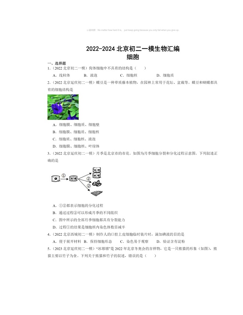 2022～2024北京初二中考一模生物试题分类汇编：细胞第1页