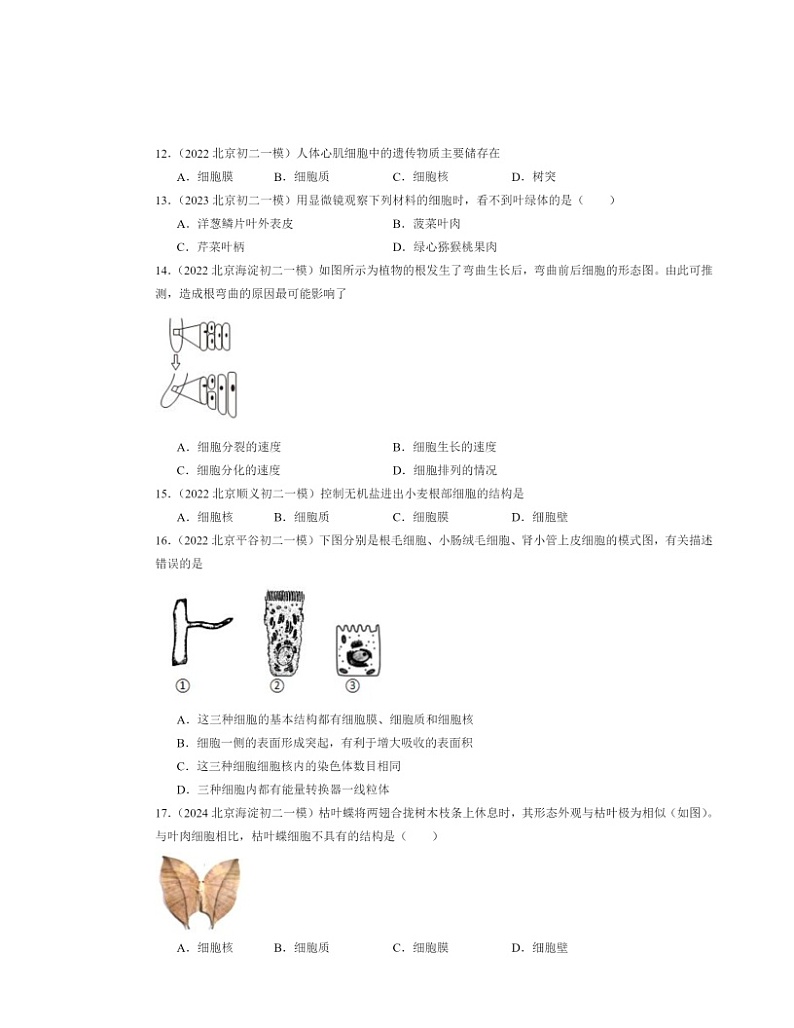 2022～2024北京初二中考一模生物试题分类汇编：细胞第3页