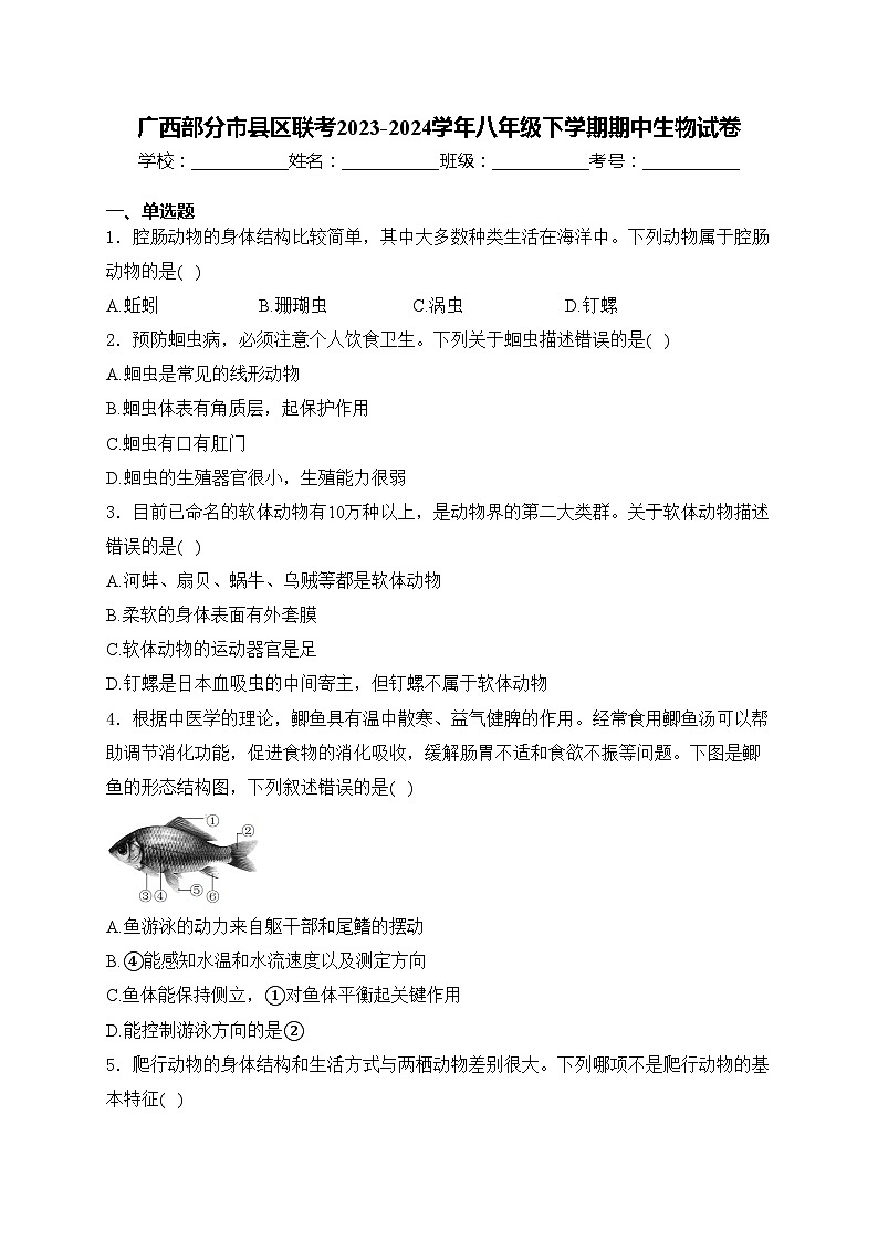 广西部分市县区联考2023-2024学年八年级下学期期中生物试卷(含答案)01