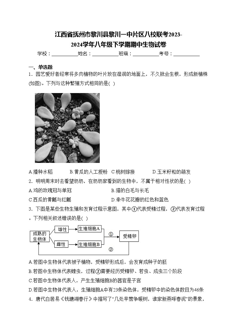 江西省抚州市黎川县黎川一中片区八校联考2023-2024学年八年级下学期期中生物试卷(含答案)第1页