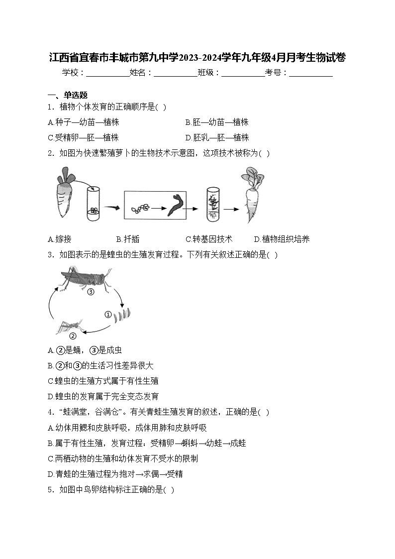 江西省宜春市丰城市第九中学2023-2024学年九年级4月月考生物试卷(含答案)01