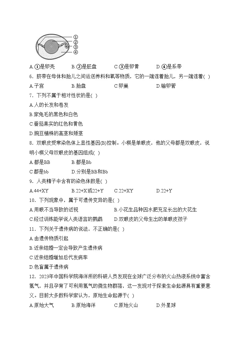 江西省宜春市丰城市第九中学2023-2024学年九年级4月月考生物试卷(含答案)02