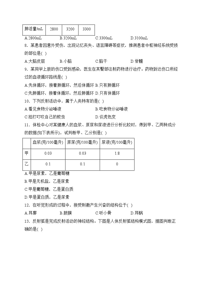江西省宜春市丰城中学2023-2024学年七年级下学期期中生物试卷(含答案)02