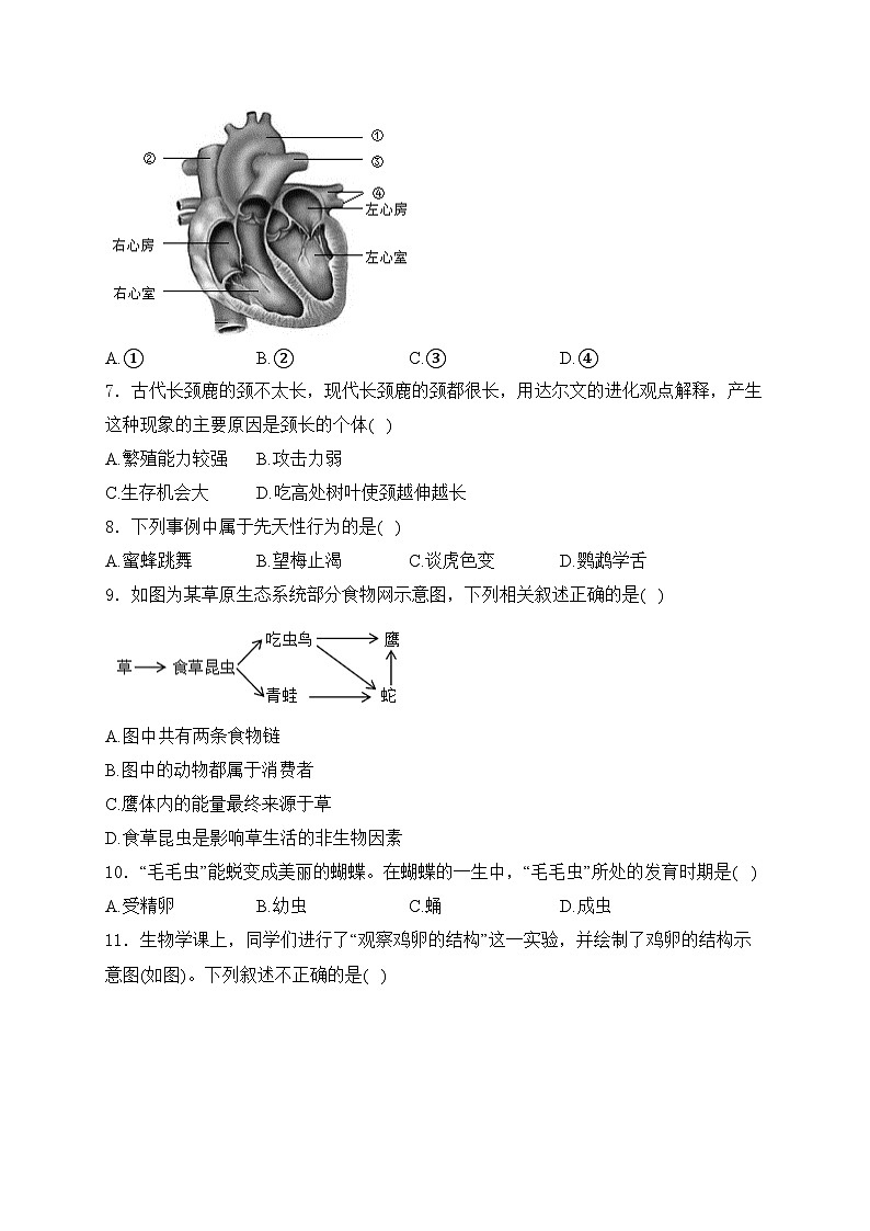 辽宁省辽阳市灯塔市2023-2024学年八年级下学期期中生物试卷(含答案)02
