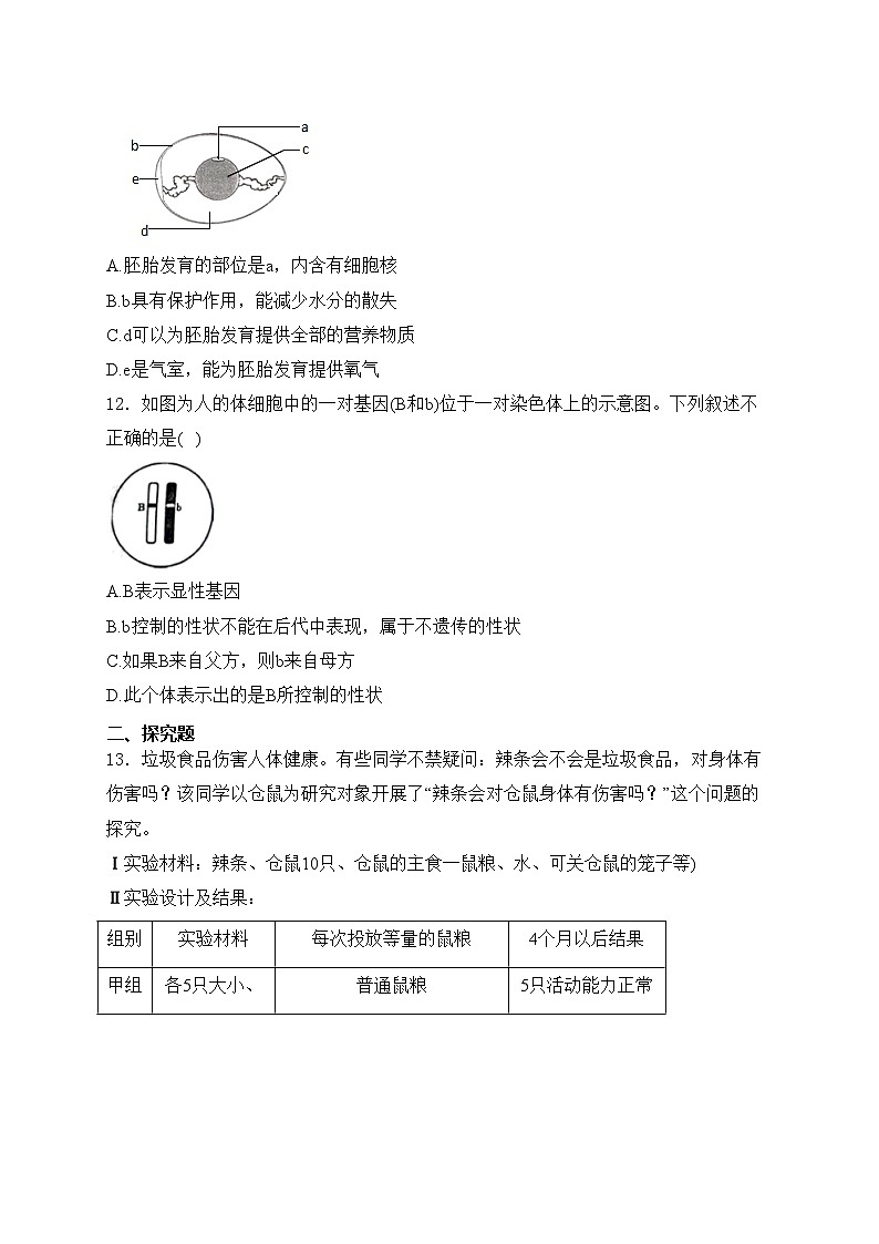 辽宁省辽阳市灯塔市2023-2024学年八年级下学期期中生物试卷(含答案)03