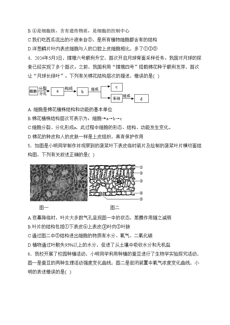 山东省滨州市沾化区2024届九年级下学期初中学生学业水平模拟考试生物试卷(含答案)第2页