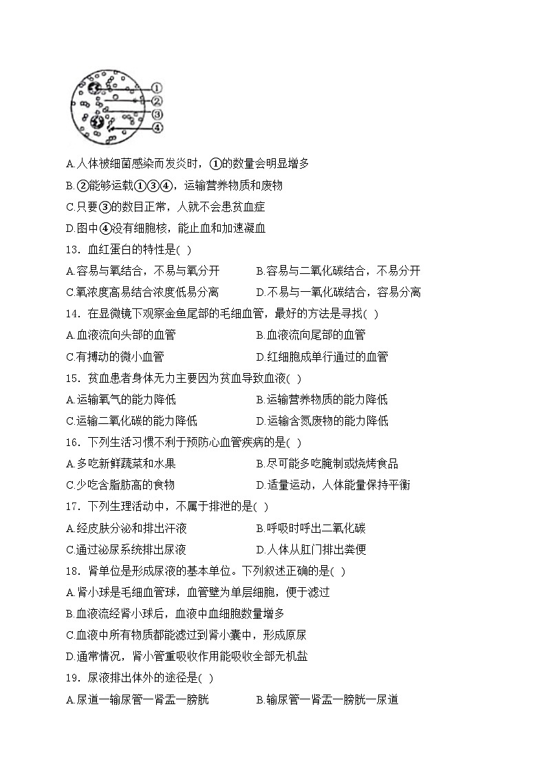 山东省菏泽市鄄城县2023-2024学年七年级下学期4月期中考试生物试卷(含答案)03