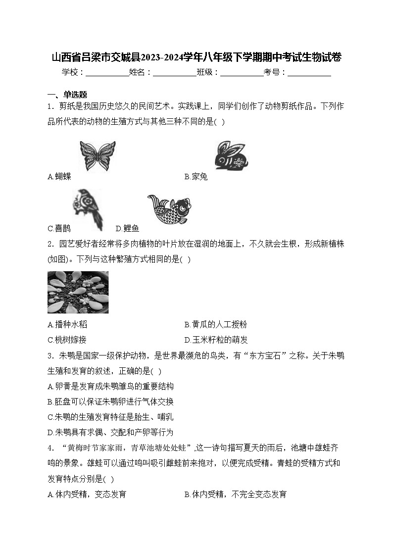 山西省吕梁市交城县2023-2024学年八年级下学期期中考试生物试卷(含答案)01