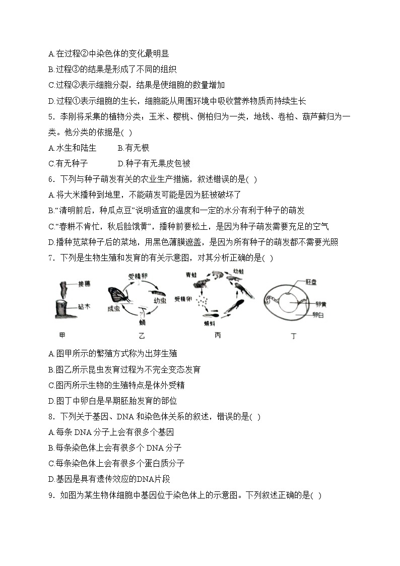 四川省南充市南充高级中学2023-2024学年八年级4月月考生物试卷(含答案)02