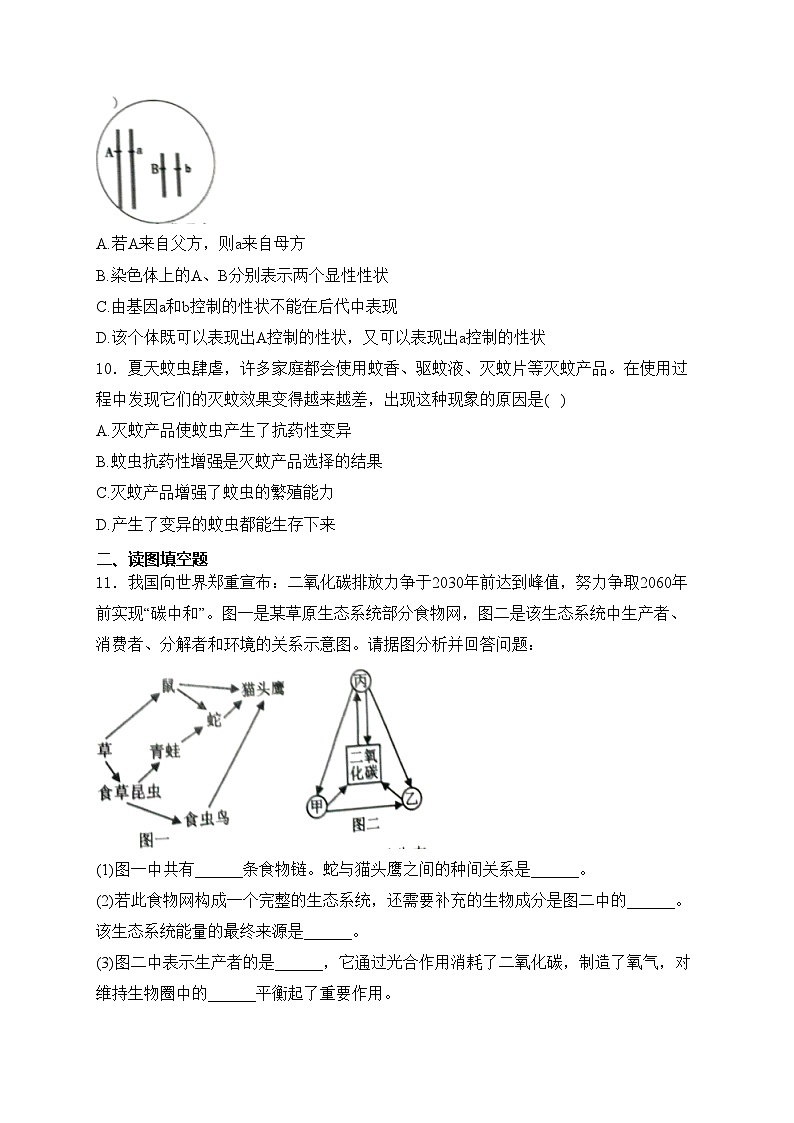 四川省南充市南充高级中学2023-2024学年八年级4月月考生物试卷(含答案)03
