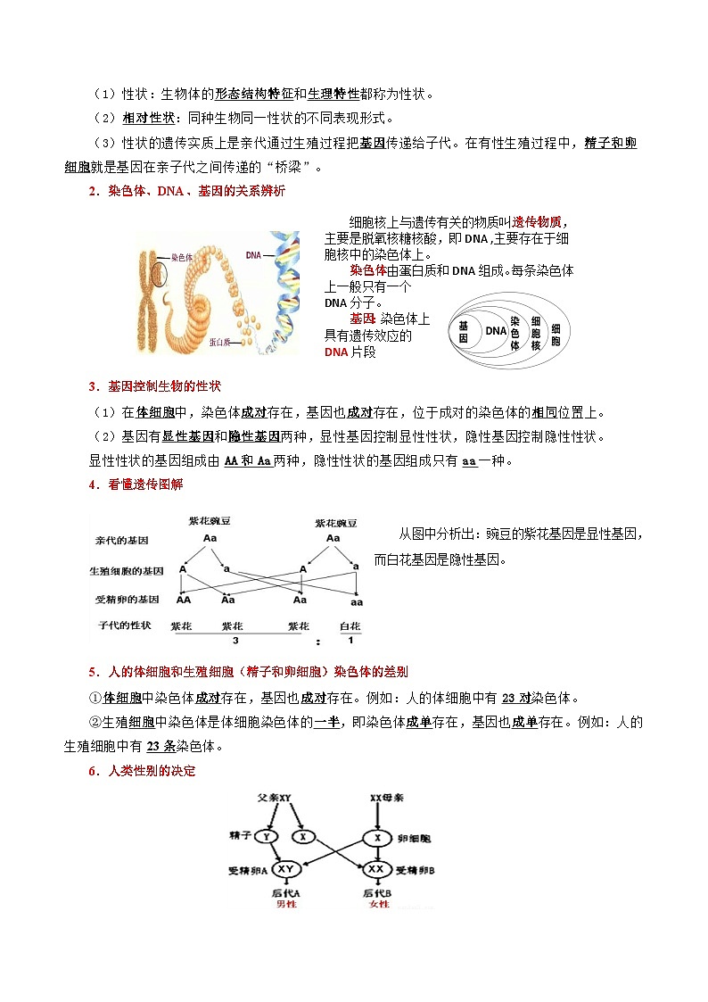 生物（四）-2024年中考考前20天终极冲刺攻略（含答案）03