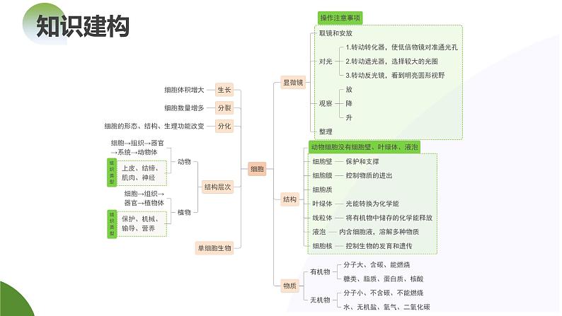 2024年中考生物二轮复习讲练测（全国通用）专题01生物体的结构层次（课件）第6页