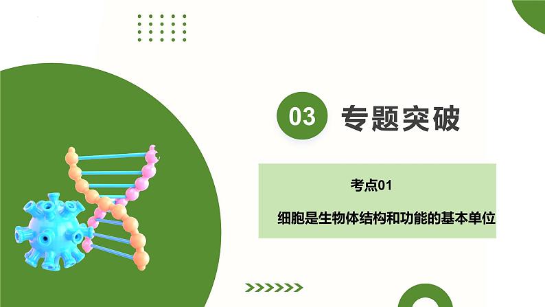 2024年中考生物二轮复习讲练测（全国通用）专题01生物体的结构层次（课件）第7页