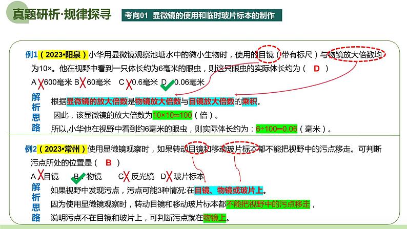 2024年中考生物二轮复习讲练测（全国通用）专题01生物体的结构层次（课件）第8页