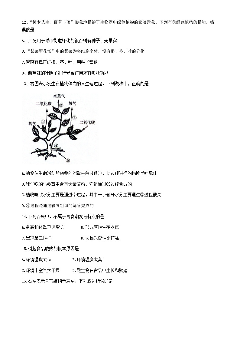 11，2024年江苏省宿迁市宿城区中考二模生物试题03