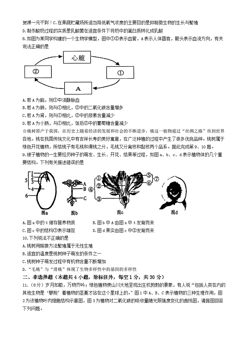 13，2024年湖北省恩施州来凤县中考二模考试生物试题第2页