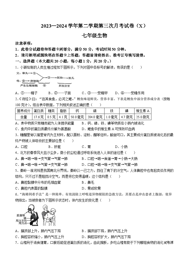 14，河南省淮阳中学2023-2024学年七年级下学期5月月考生物试题(无答案)01