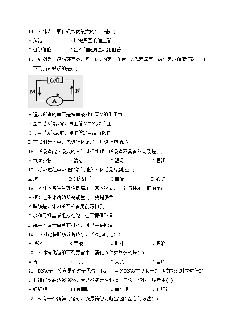 河南省洛阳市涧西区2023-2024学年七年级下学期期中考试生物试卷(含答案)03