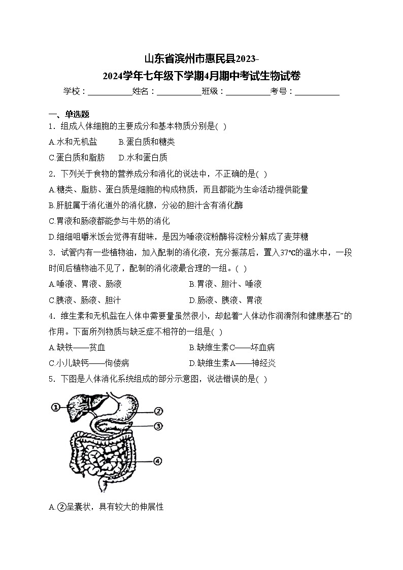 山东省滨州市惠民县2023-2024学年七年级下学期4月期中考试生物试卷(含答案)第1页