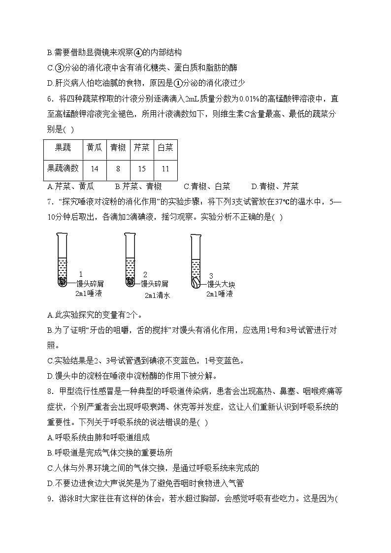 山东省滨州市惠民县2023-2024学年七年级下学期4月期中考试生物试卷(含答案)第2页