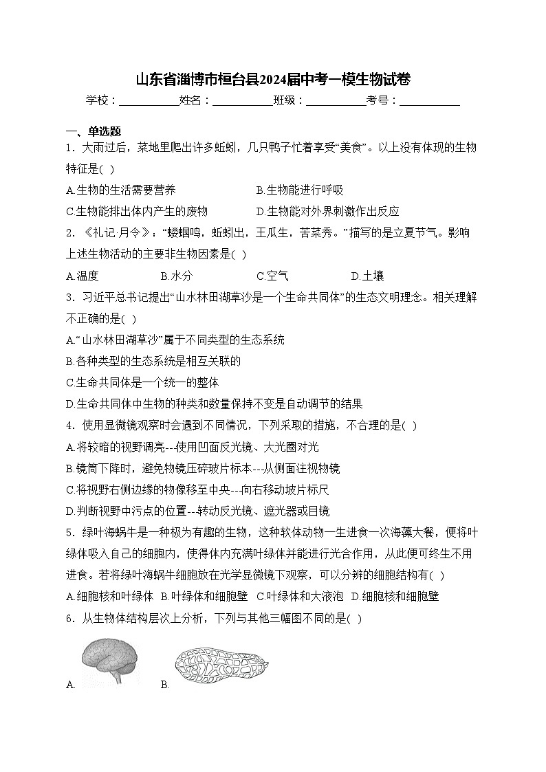 山东省淄博市桓台县2024届中考一模生物试卷(含答案)01