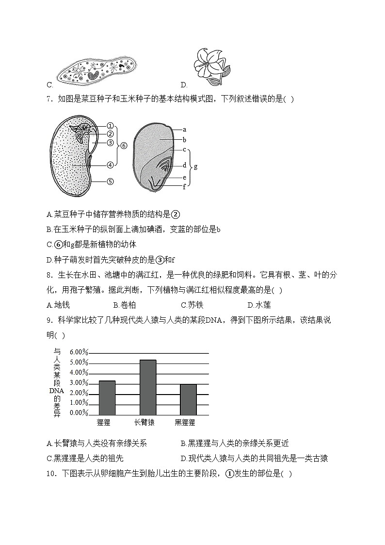 山东省淄博市桓台县2024届中考一模生物试卷(含答案)02