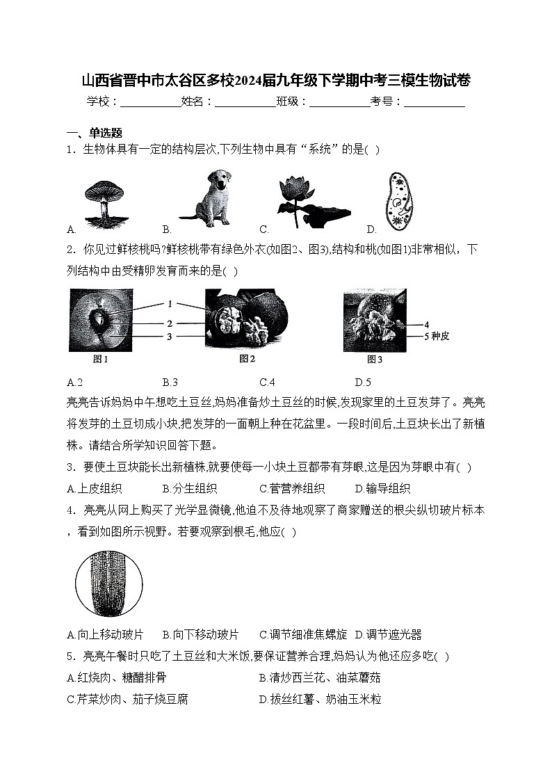山西省晋中市太谷区多校2024届九年级下学期中考三模生物试卷(含答案)01
