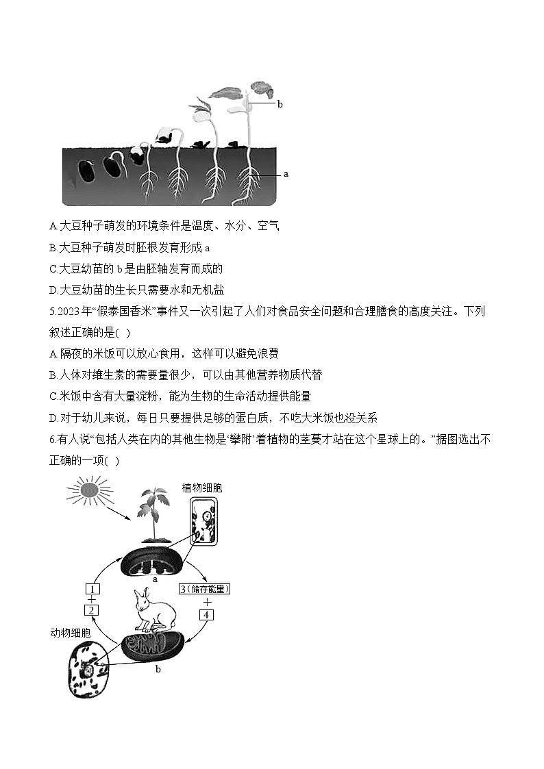 2024届中考生物模拟五月冲刺卷 【西藏专用】第2页