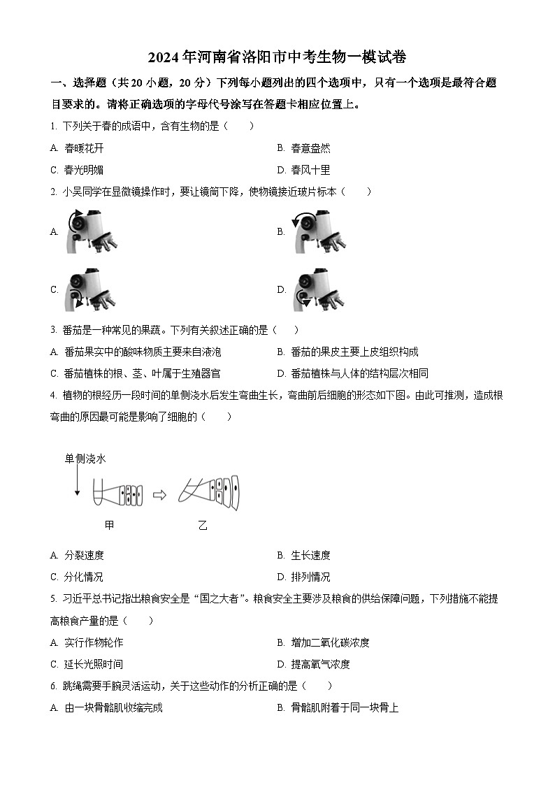 2024年河南省洛阳市中考一模生物试题（原卷版）第1页