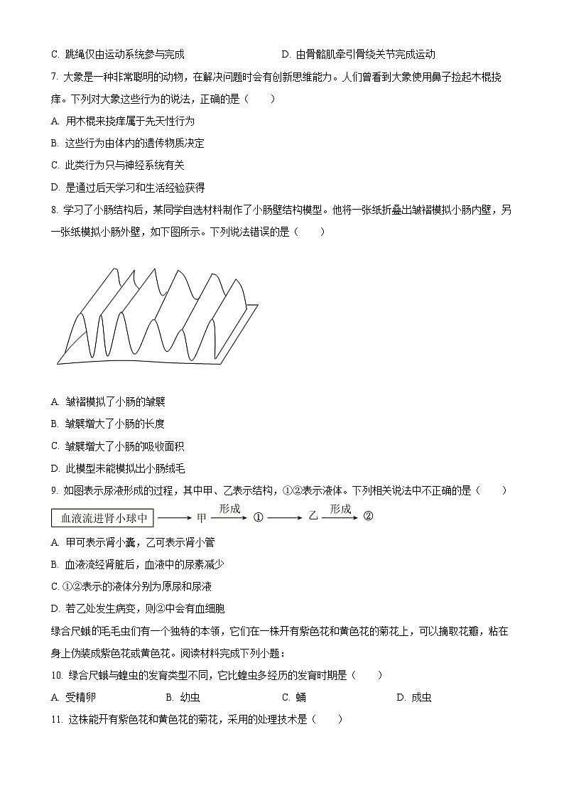 2024年河南省洛阳市中考一模生物试题（原卷版）第2页