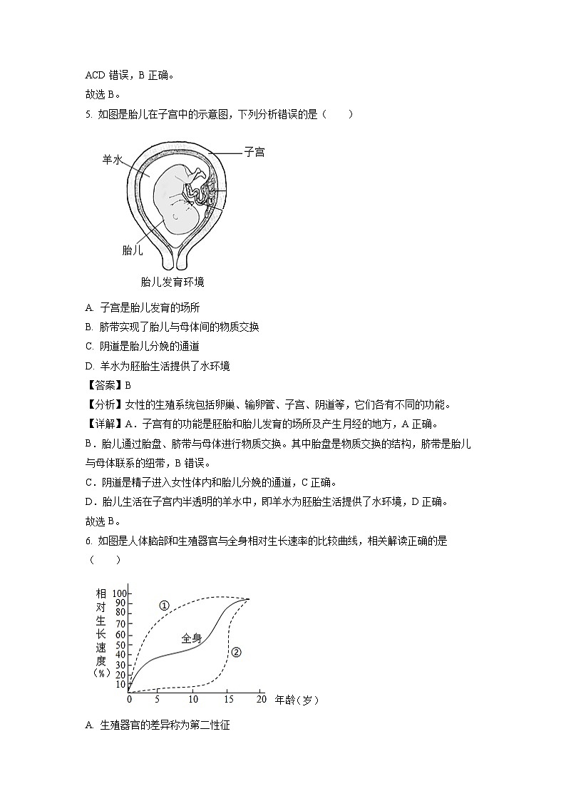 生物：山东省日照市日照港中学2023-2024学年七年级下学期4月月考试题（解析版）第3页