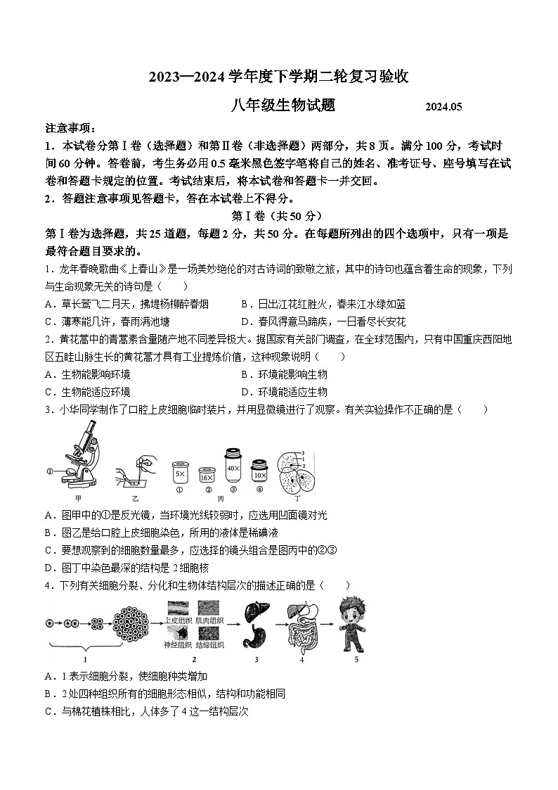 2024年山东省临沂市临沭县中考二模生物试题(无答案)01